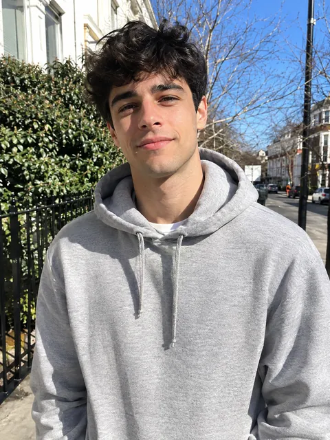 Example input: a man in a grey hoodie on a sunny street