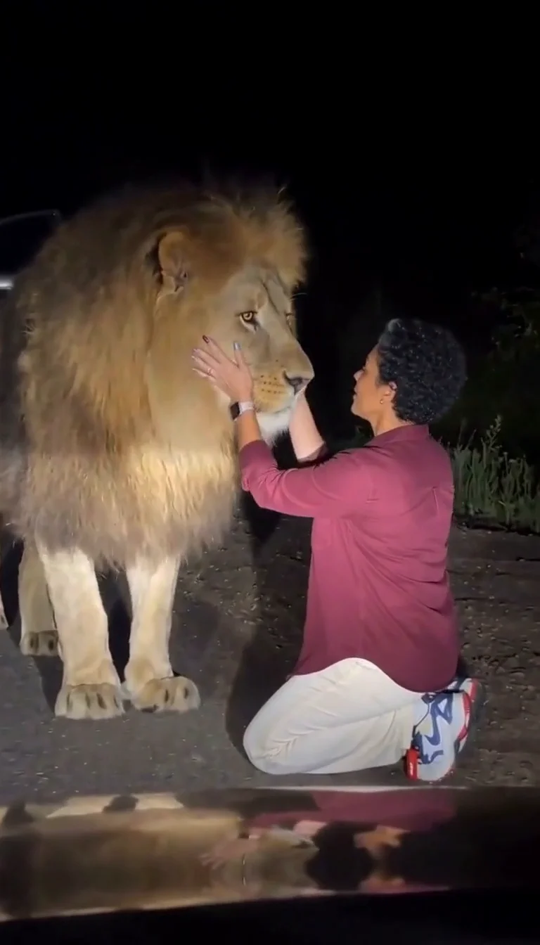 Actual generated Lion Friend example