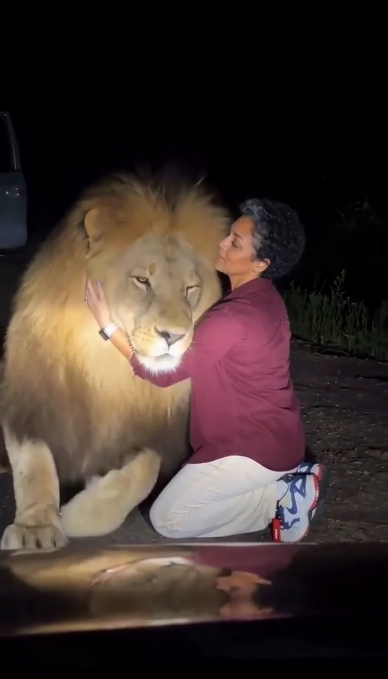 Actual Lion Friend result detail