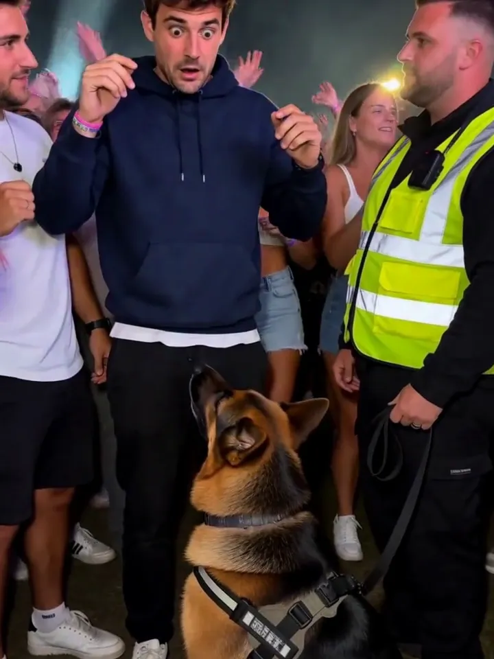 The sniffer dog sitting at the feet of the person from the photo, who freezes mid-dance