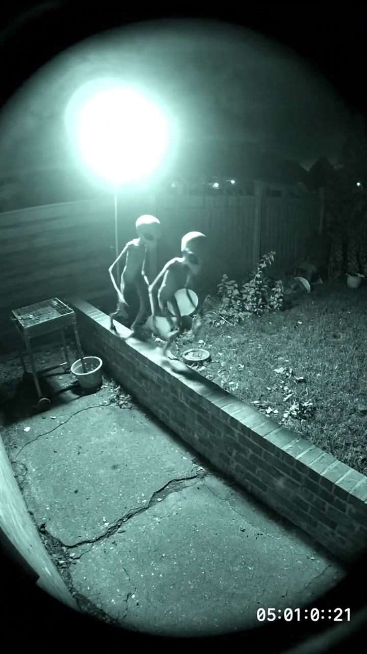 Backyard Alien Footage