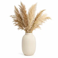 Reference 1: ribbed cream vase with pampas grass