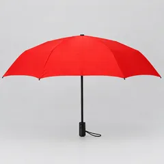 Reference 3: open red umbrella